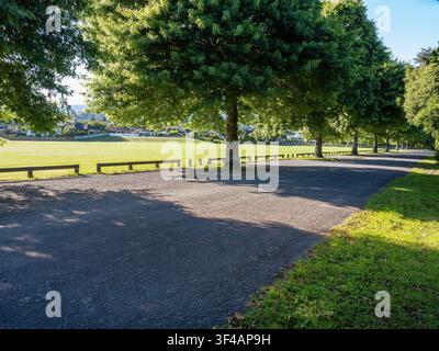 Straße, Auto-Hintergrund, Automobil-Heckplatte, ruhige Landstraße in parkartiger Umgebung, gesäumt von grünen Bäumen Stockfoto