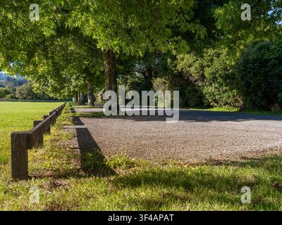 Straße, Auto-Hintergrund, Automobil-Heckplatte, ruhige Landstraße in parkartiger Umgebung, gesäumt von grünen Bäumen Stockfoto
