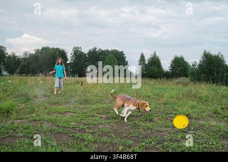 Mädchen spielt mit laufendem Hund auf einer Wiese. Teenager wirft gelbe Scheibe zu Haustier. Aktive Freizeit und Lebensstil von Teenager-Mädchen mit Hund in der Natur. Tr Stockfoto