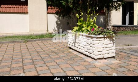 Weißer Ziegelbeton-Pflanzkübel-Straßenentwurf. Moderner Outdoor-Steinblumenkasten auf Kopfsteinpflaster mit blühenden Grünpflanzen im städtischen Innenhof Stockfoto
