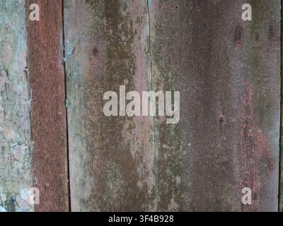 Eine Nahaufnahme-Textur von verwitterten vertikalen Holzplanken mit verblasster roter Farbe und feinen Spinnweben. Stockfoto