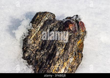 Lebendiger Almandin-Granatkristall, eingebettet in rauen Glimmerschiefer, auffällig kontrastiert gegen makellosen weißen Schnee. Ein natürlicher geologischer Schatz. Kite Stockfoto