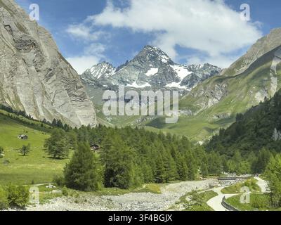 Blick vom Koednitztal auf die Südseite des Grossglockners, Lärchenwald im Koednitztal im Vordergrund, kleine Brücke für Wanderweg querüber Stockfoto