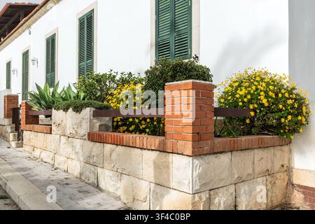 Gelbe Gänseblümchen und Grün wachsen entlang einer Mauer vor einem Haus mit traditionellen grünen Fensterläden, Marina di Ragusa, Sizilien, Italien Stockfoto