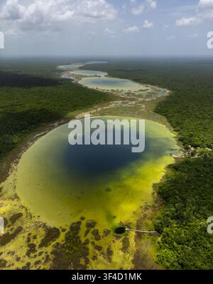 Luftaufnahme des Siijil Noh Ha Cenote-Systems, umgeben von dichtem tropischem Dschungel, mit tiefblauem Wasser und lebendiger grüner Vegetation in Felipe C Stockfoto