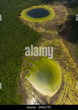Luftbild der Cenoten Siijil Noh Ha, umgeben von dichtem tropischem Dschungel und farbenfrohen Feuchtgebieten in Felipe Carrillo Puerto, Quintana Roo, Mexiko. Stockfoto