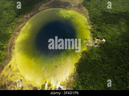 Luftbild des Cenotes Siijil Noh Ha, umgeben von dichter Dschungelvegetation und üppigem grünen Wald in Felipe Carrillo Puerto, Quintana Roo, Mexiko. Stockfoto
