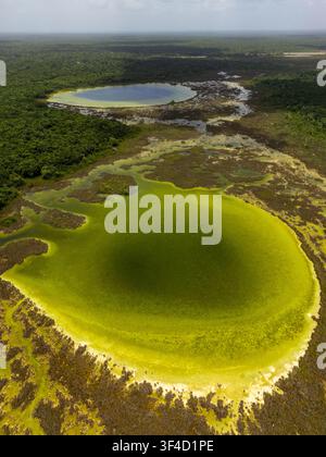 Luftaufnahme der lebendigen grünen Gewässer des Siijil Noh Ha Cenoten, umgeben von dichtem tropischem Dschungel in Felipe Carrillo Puerto, Quintana Roo, Mexiko Stockfoto