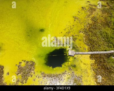 Luftbild des Cenoten Siijil Noh Ha mit grünem, algenbedecktem Wasser und einem hölzernen Steg, umgeben von sumpfiger Vegetation in Felipe Carrillo Puerto, Q Stockfoto