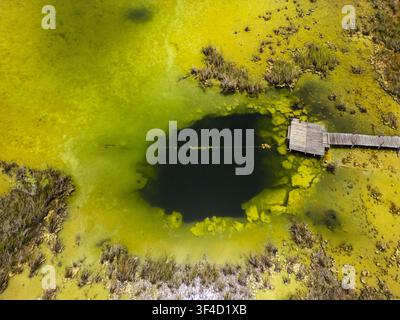 Luftbild des Cenotes Siijil Noh Ha mit einem hölzernen Steg, umgeben von üppiger grüner Vegetation und klarem Wasser in Felipe Carrillo Puerto, Quintana Roo, Me Stockfoto