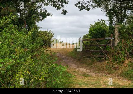 Holztor auf einem Feldweg, der durch überwucherte Vegetation mit trockenem Gras und Bäumen unter einem bewölkten Himmel in Cornwall, Vereinigtes Königreich führt Stockfoto