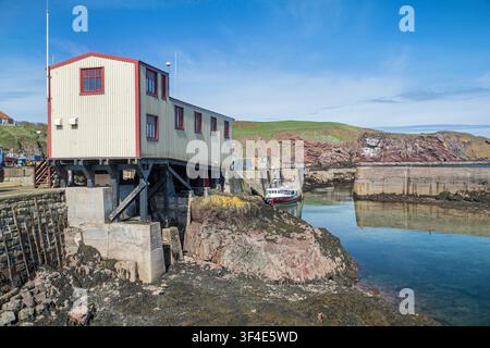 Die unabhängige Rettungsbootsstation in Saint Abbs an der Ostküste Schottlands Stockfoto