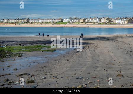 Menschen, die ihre Hunde am Strand von Newbiggin-by-the-Sea führen; Northumberland; England Stockfoto