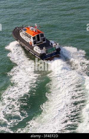 Dover Pilot Harbour Patrol Boot DHB Diligent in Dover, Kent, UK im Juni Stockfoto