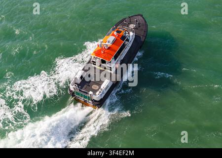 Dover Pilot Harbour Patrol Boot DHB Diligent in Dover, Kent, UK im Juni Stockfoto