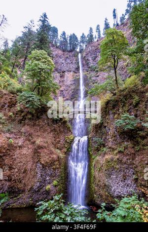 Ein hoch aufragender Wasserfall stürzt über eine moosige, schroffe Klippe. Üppige grüne Bäume rahmen die Szene mit herbstlichen Akzenten ein. Eine kleine Brücke überquert den Bach unten Stockfoto