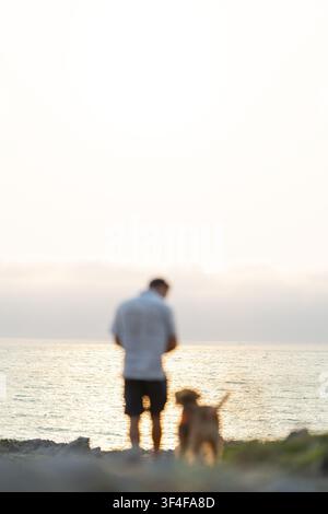 Mann und Airedale-Terrier beobachten den Sonnenuntergang über dem Meer Stockfoto