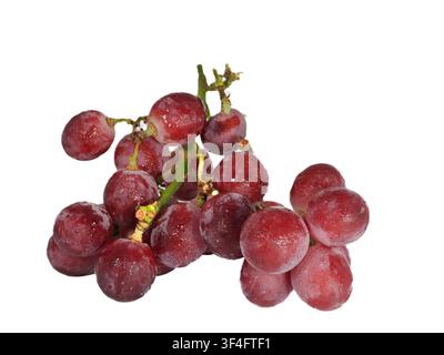 Leckere süße rote Trauben Stockfoto
