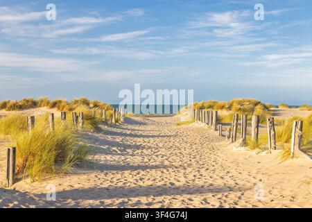 Einladender Sandpfad durch Küstendünen in Richtung des ruhigen Meeres unter einem strahlend blauen Himmel mit zarten Wolken an einem sonnigen Tag. Dunkirk in Frankreich Stockfoto
