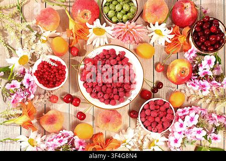 Werbebanner mit schönen Gartenblumen, Früchten und Beeren. Zeichnung von Gänseblümchen, Hortensien, Phlox, Lilien, Johannisbeeren, Kirschen, Himbeeren Stockfoto