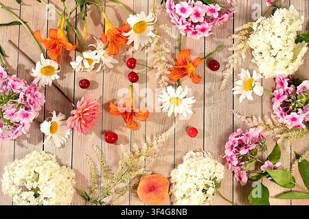 Werbebanner mit schönen Gartenblumen, Früchten und Beeren. Zeichnung von Gänseblümchen, Hortensien, Phlox, Lilien, Kirschen, Pfirsichen und Aprikosen Stockfoto