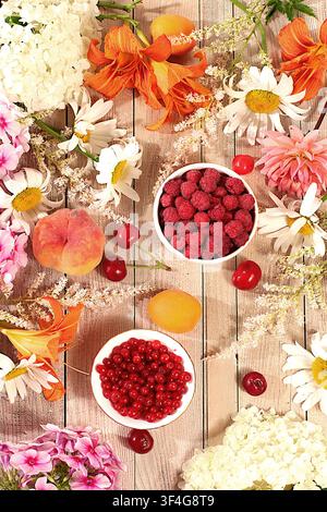 Werbebanner mit schönen Gartenblumen, Früchten und Beeren. Zeichnung von Gänseblümchen, Hortensien, Phlox, Lilien, Johannisbeeren, Kirschen, Himbeeren Stockfoto