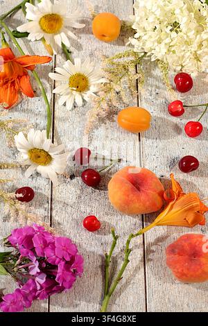 Werbebanner mit schönen Gartenblumen, Früchten und Beeren. Zeichnung von Gänseblümchen, Hortensien, Phlox, Lilien, Kirschen, Pfirsichen und Aprikosen Stockfoto