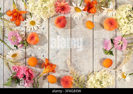Zeichnung von Gänseblümchen, Hortensien, Phlox, Lilien, Kirschen, Pfirsichen und Aprikosen eignet sich für eine sonnige Sommerpostkarte. Werbebanner mit wunderschönen Stockfoto