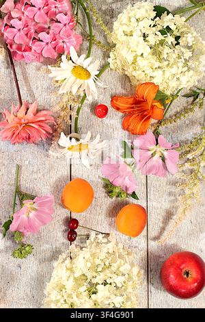 Zeichnung von Gänseblümchen, Hortensien, Phlox, Lilien, Kirschen, Pfirsichen und Aprikosen eignet sich für eine sonnige Sommerpostkarte. Werbebanner mit wunderschönen Stockfoto