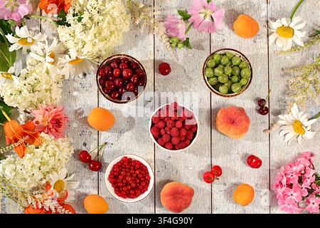 Werbebanner mit schönen Gartenblumen, Früchten und Beeren. Zeichnung von Gänseblümchen, Hortensien, Phlox, Lilien, Johannisbeeren, Kirschen, Himbeeren Stockfoto