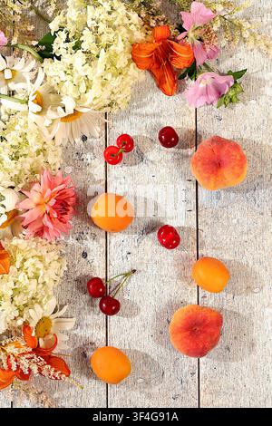 Zeichnung von Gänseblümchen, Hortensien, Phlox, Lilien, Kirschen, Pfirsichen und Aprikosen eignet sich für eine sonnige Sommerpostkarte. Werbebanner mit wunderschönen Stockfoto