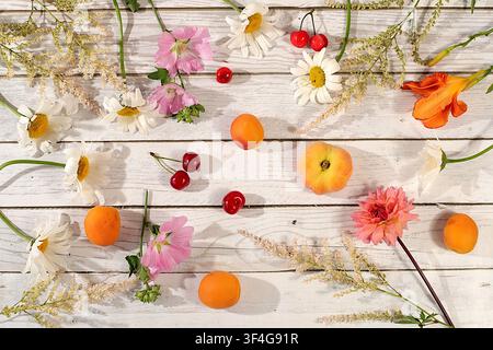 Zeichnung von Gänseblümchen, Hortensien, Phlox, Lilien, Kirschen, Pfirsichen und Aprikosen eignet sich für eine sonnige Sommerpostkarte. Werbebanner mit wunderschönen Stockfoto