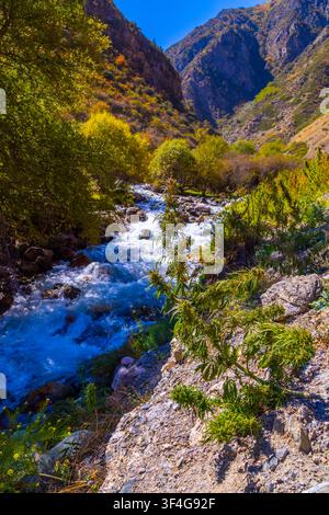 Lebendiger Gebirgsfluss fließt über Felsen in Kirgisistan im Herbst. Üppige Vegetation und farbenfrohes Laub umrahmen die Szene unter einem klaren blauen Himmel. Stockfoto