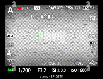 DSLR-spiegellose Kamera Rec-Overlay. Aufnahme-Kamera-Anzeige-Rahmen. Video- oder Fotoaufnahme-Bildschirm. CCTV-Schwarz-Weiß-Glitch-Effekt-Filter. Sucher Stock Vektor
