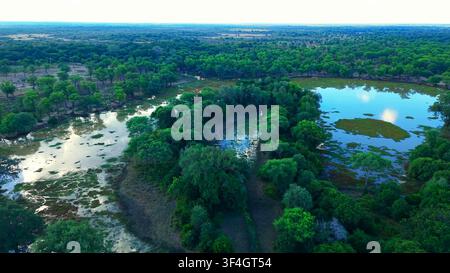 Hohe Luftaufnahme, die eine gewundene Flussbiegung zeigt, umgeben von üppigem grünem Wald und ruhigen Gewässern. Stockfoto