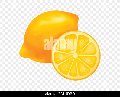 Aquarell-Zitrone und -scheibe, frische Zitrusfrucht-Sommer-Vektor. Stock Vektor