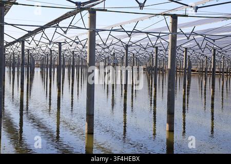 Eine Nahaufnahme einer schwimmenden Solar-PV-Kraftwerksanlage, bei der Solarpaneele auf Betonpfeilern und Metallbügeln über der Wasseroberfläche montiert sind Stockfoto