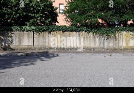 Fertigbetonblockwand mit Efeu oben und Bäumen und pinkfarbenem Gebäude im Hintergrund. Gehweg und Straße vorne. Hintergrund für Kopierraum. Stockfoto