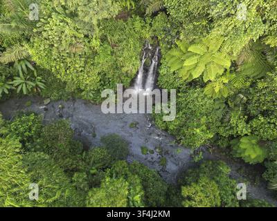 Kleiner Wasserfall fließt in einen Fluss, umgeben von dichtem tropischem Dschungel und üppiger Vegetation, der Blick auf den Wasserfall stürzt in einen Bach, umgeben von Stockfoto