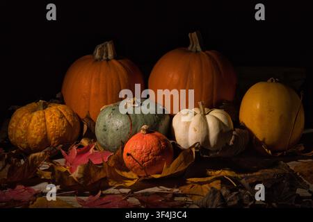 Herbstfrüchte Stockfoto