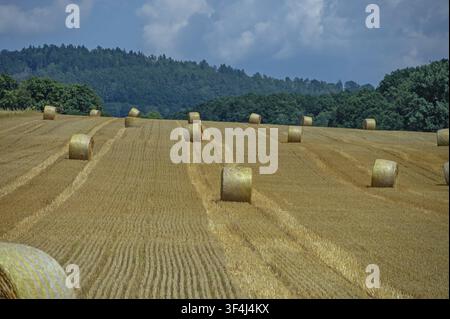 Rundballen aus Stroh auf einem abgedroschenen Feld, Oberfranken, Bayern, Deutschland Stockfoto