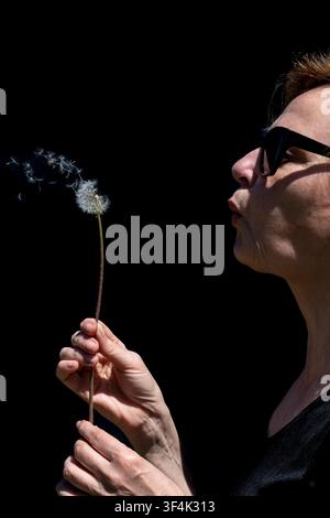 Frau bläst Löwenzahnsporen mit ihrem Mund in die Luft, auf schwarzem Hintergrund Stockfoto