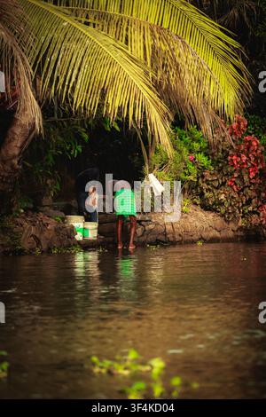 Ansicht von zwei Männern, die Wäsche in den Nebenflüssen von Kochi waschen, umgeben von üppigen Palmen und tropischer Vegetation in Kochi, Kerala, Indien. Stockfoto