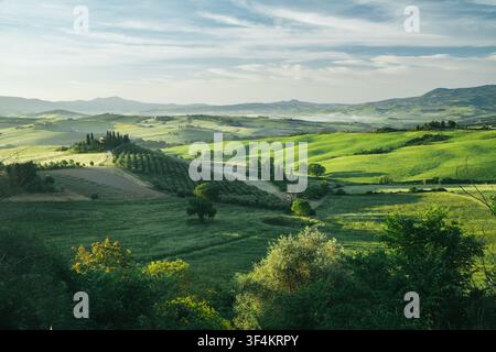 Toskana-Hügellandschaft mit Morgennebel bei Sonnenaufgang, Val d'Orcia, Italien Stockfoto