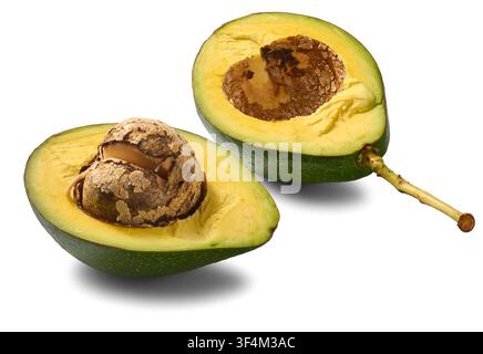zwei halbe Avocados mit Kern auf weißem Hintergrund isoliert, grüne Schale und gelbes Fruchtfleisch frische tropische Frucht Stockfoto