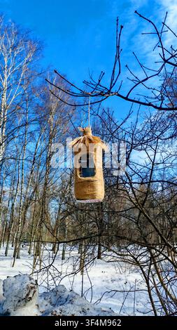 Ein mit Schnur umwickelter Futterspender aus einer wiederverwendeten Flasche hängt zwischen kahlen Ästen in einem hellen, friedlichen Winterpark. Das authentische Bild hebt hervor Stockfoto