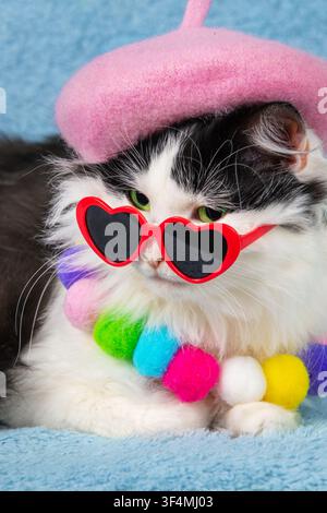 Porträt einer schönen, lustigen schwarz-weißen Katze mit rosa Baskenmütze und Halskette auf blauem Hintergrund. Die Katze mit einem Regenbogenkragen und Stockfoto
