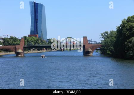 Blick über den Main bei Frankfurt von der Eisernen Steg-Brücke aus. Stockfoto