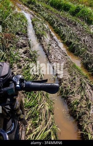 Fahrersicht auf einem elektrischen Fatbike, das einen schlammigen, überfluteten Pfad mit tiefen Spurrillen navigiert, und zeigt Offroad-Abenteuer und herausforderndes Gelände Stockfoto