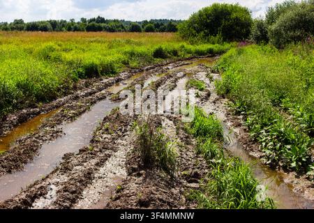 Tiefe, schlammige Spurrillen, die von einem Geländewagen durch eine sumpfige Wiese geschnitten wurden, zeigen schwieriges Geländefahrzeuggelände inmitten üppigen grünen Sommergrases und wilder Felder un Stockfoto